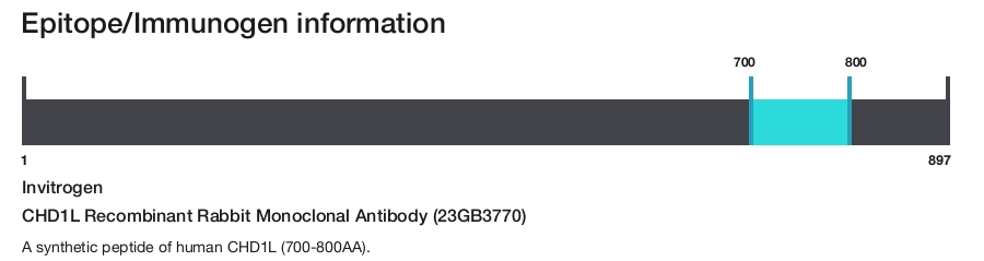 CHD1L Recombinant Rabbit Monoclonal Antibody (23GB3770)