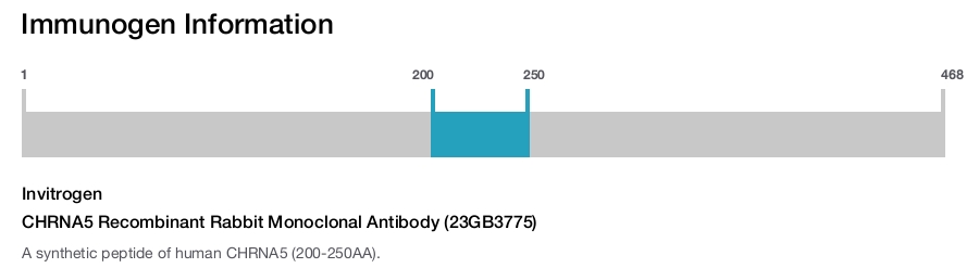 CHRNA5 Recombinant Rabbit Monoclonal Antibody (23GB3775)