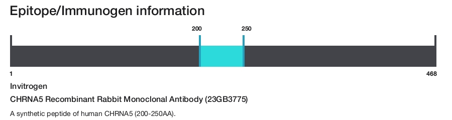 CHRNA5 Recombinant Rabbit Monoclonal Antibody (23GB3775)