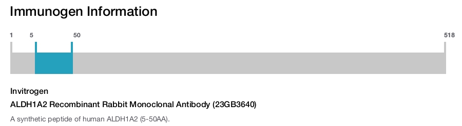 ALDH1A2 Recombinant Rabbit Monoclonal Antibody (23GB3640)
