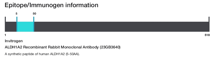 ALDH1A2 Recombinant Rabbit Monoclonal Antibody (23GB3640)