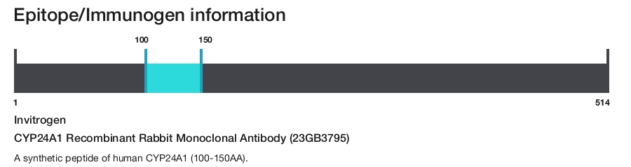 CYP24A1 Recombinant Rabbit Monoclonal Antibody (23GB3795)