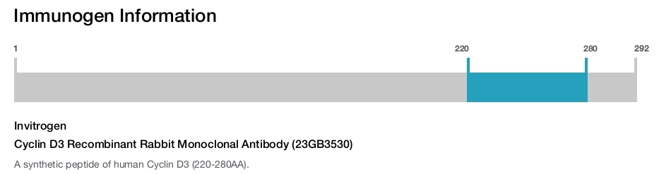Cyclin D3 Recombinant Rabbit Monoclonal Antibody (23GB3530)