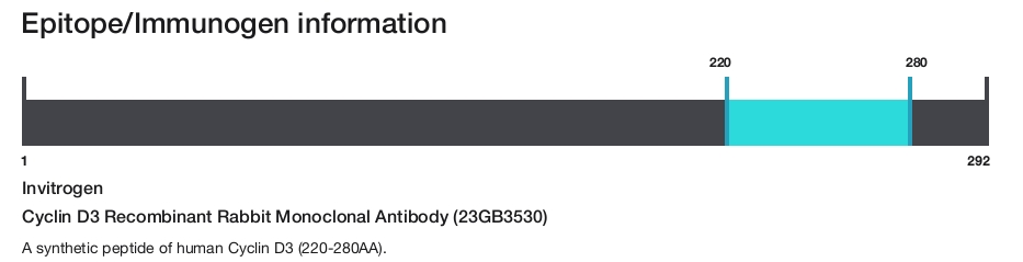 Cyclin D3 Recombinant Rabbit Monoclonal Antibody (23GB3530)