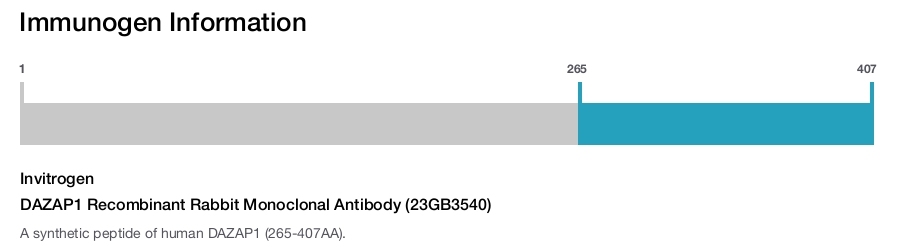 DAZAP1 Recombinant Rabbit Monoclonal Antibody (23GB3540)
