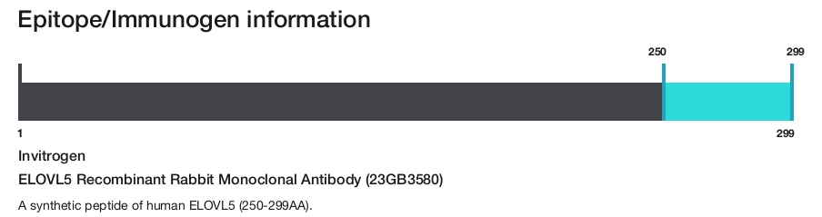 ELOVL5 Recombinant Rabbit Monoclonal Antibody (23GB3580)