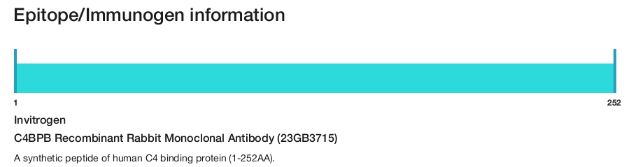 C4BPB Recombinant Rabbit Monoclonal Antibody (23GB3715)