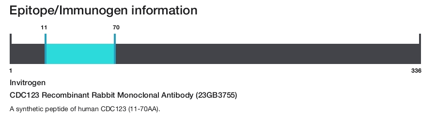 CDC123 Recombinant Rabbit Monoclonal Antibody (23GB3755)