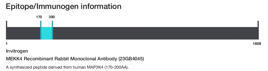 MEKK4 Recombinant Rabbit Monoclonal Antibody (23GB4045)