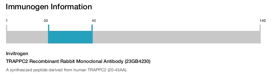 TRAPPC2 Recombinant Rabbit Monoclonal Antibody (23GB4230)