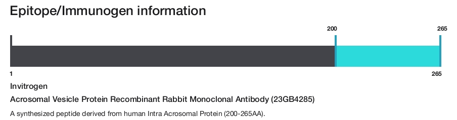 Acrosomal Vesicle Protein Recombinant Rabbit Monoclonal Antibody (23GB4285)