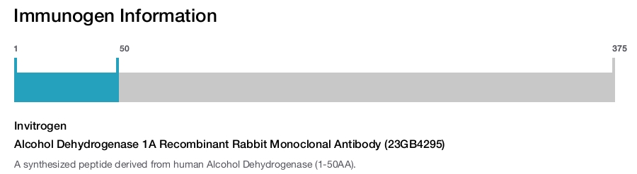 Alcohol Dehydrogenase 1A Recombinant Rabbit Monoclonal Antibody (23GB4295)