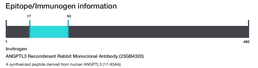 ANGPTL3 Recombinant Rabbit Monoclonal Antibody (23GB4320)