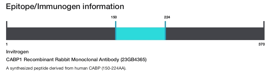 CABP1 Recombinant Rabbit Monoclonal Antibody (23GB4365)