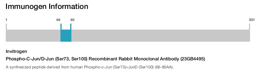 Phospho-C-Jun/D-Jun (Ser73, Ser100) Recombinant Rabbit Monoclonal Antibody (23GB4495)