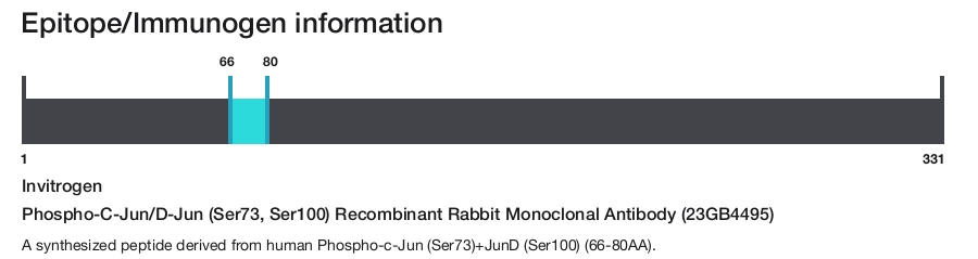Phospho-C-Jun/D-Jun (Ser73, Ser100) Recombinant Rabbit Monoclonal Antibody (23GB4495)