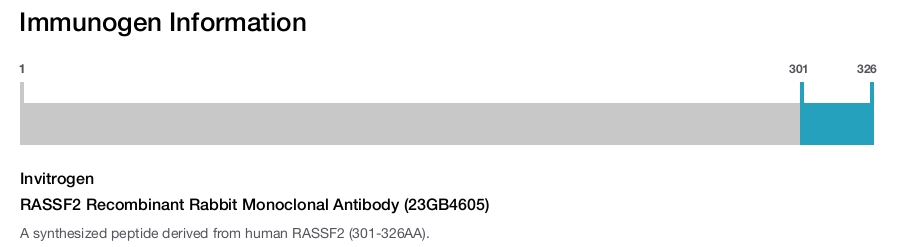 RASSF2 Recombinant Rabbit Monoclonal Antibody (23GB4605)