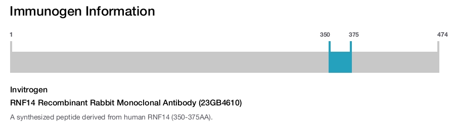 RNF14 Recombinant Rabbit Monoclonal Antibody (23GB4610)