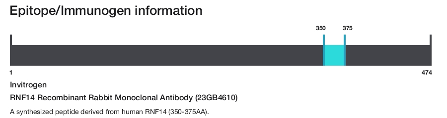 RNF14 Recombinant Rabbit Monoclonal Antibody (23GB4610)