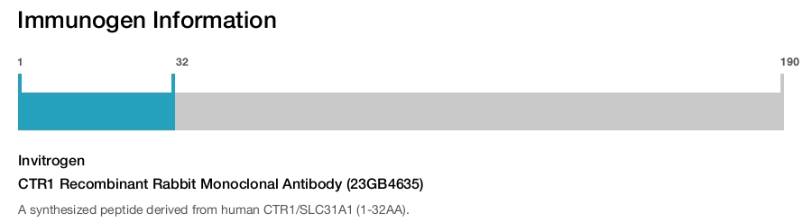 CTR1 Recombinant Rabbit Monoclonal Antibody (23GB4635)