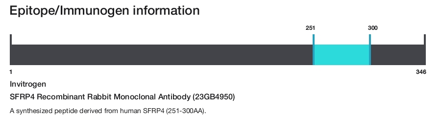 SFRP4 Recombinant Rabbit Monoclonal Antibody (23GB4950)