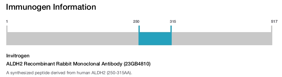 ALDH2 Recombinant Rabbit Monoclonal Antibody (23GB4810)