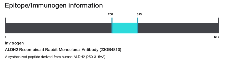 ALDH2 Recombinant Rabbit Monoclonal Antibody (23GB4810)