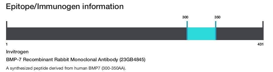 BMP-7 Recombinant Rabbit Monoclonal Antibody (23GB4845)