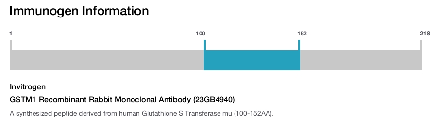 GSTM1 Recombinant Rabbit Monoclonal Antibody (23GB4940)