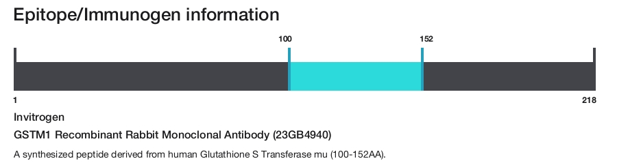 GSTM1 Recombinant Rabbit Monoclonal Antibody (23GB4940)