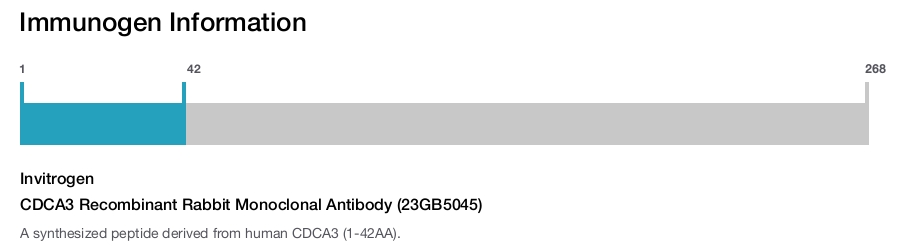 CDCA3 Recombinant Rabbit Monoclonal Antibody (23GB5045)