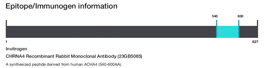 CHRNA4 Recombinant Rabbit Monoclonal Antibody (23GB5085)