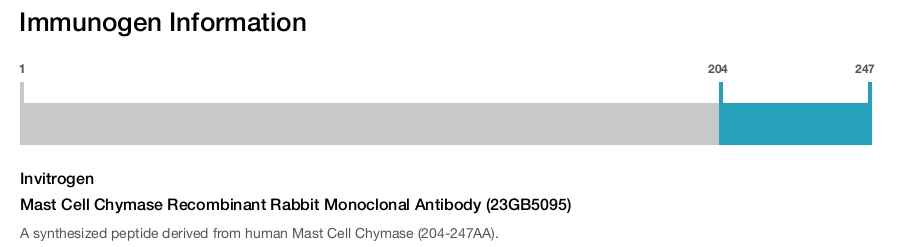 Mast Cell Chymase Recombinant Rabbit Monoclonal Antibody (23GB5095)