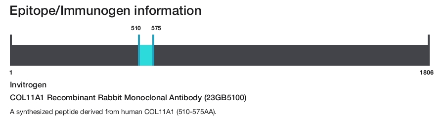 COL11A1 Recombinant Rabbit Monoclonal Antibody (23GB5100)