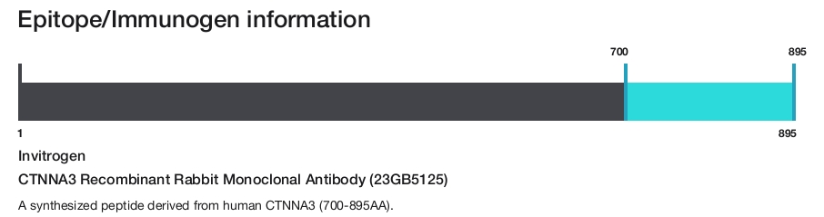 CTNNA3 Recombinant Rabbit Monoclonal Antibody (23GB5125)