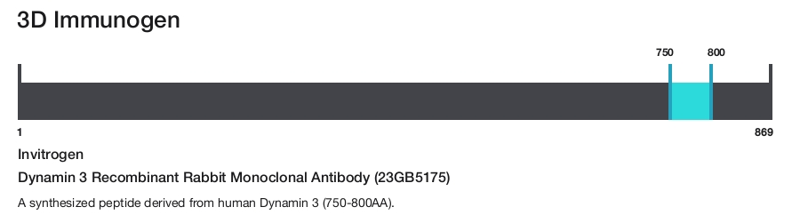 Dynamin 3 Recombinant Rabbit Monoclonal Antibody (23GB5175)