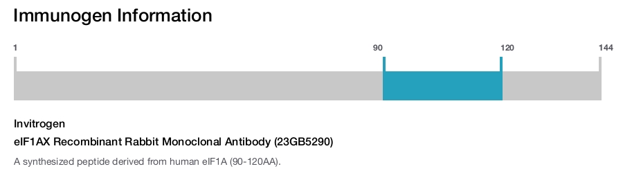 eIF1AX Recombinant Rabbit Monoclonal Antibody (23GB5290)