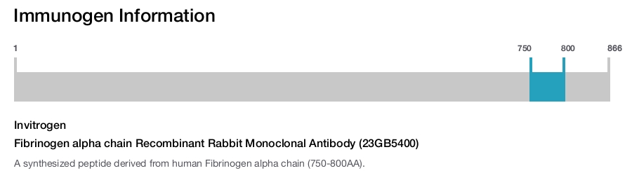 Fibrinogen alpha chain Recombinant Rabbit Monoclonal Antibody (23GB5400)