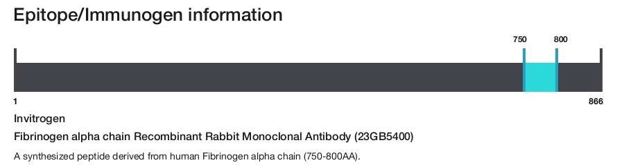 Fibrinogen alpha chain Recombinant Rabbit Monoclonal Antibody (23GB5400)