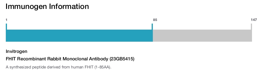 FHIT Recombinant Rabbit Monoclonal Antibody (23GB5415)