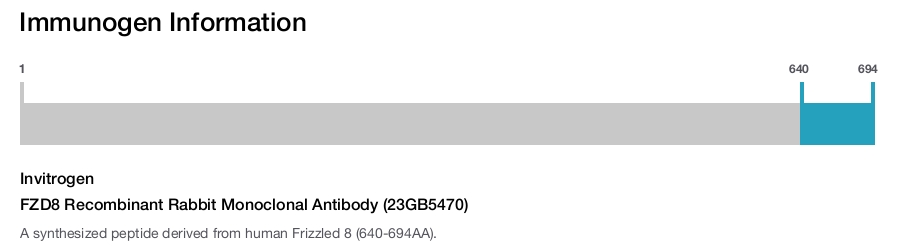 FZD8 Recombinant Rabbit Monoclonal Antibody (23GB5470)