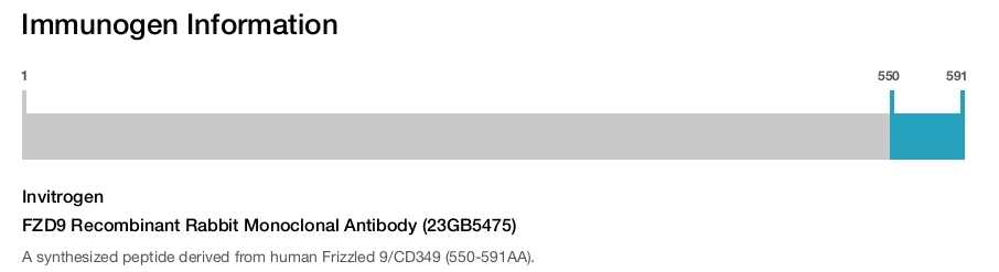 FZD9 Recombinant Rabbit Monoclonal Antibody (23GB5475)