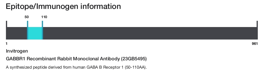 GABBR1 Recombinant Rabbit Monoclonal Antibody (23GB5495)