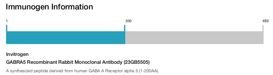 GABRA5 Recombinant Rabbit Monoclonal Antibody (23GB5505)