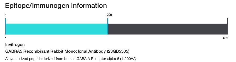GABRA5 Recombinant Rabbit Monoclonal Antibody (23GB5505)
