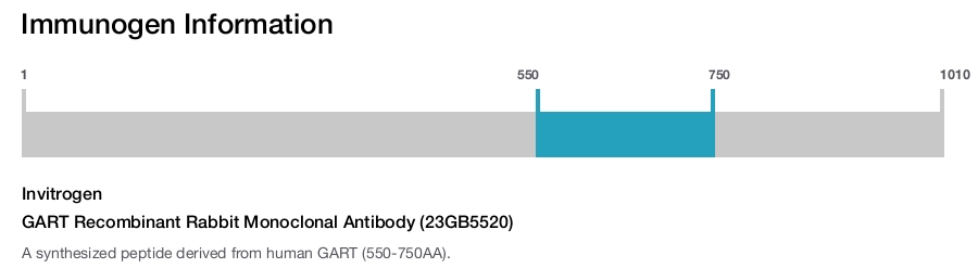 GART Recombinant Rabbit Monoclonal Antibody (23GB5520)