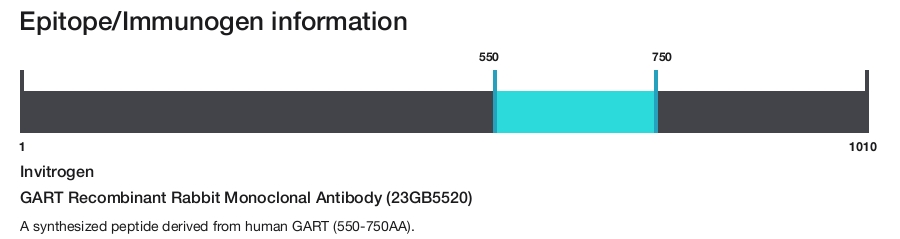 GART Recombinant Rabbit Monoclonal Antibody (23GB5520)