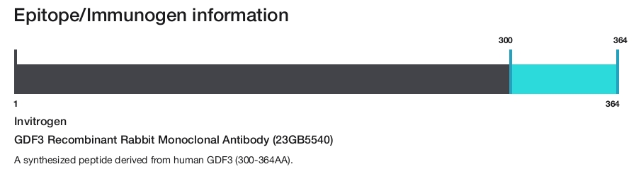 GDF3 Recombinant Rabbit Monoclonal Antibody (23GB5540)