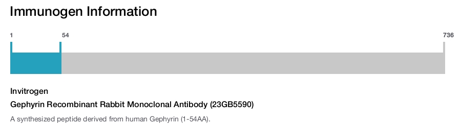 Gephyrin Recombinant Rabbit Monoclonal Antibody (23GB5590)