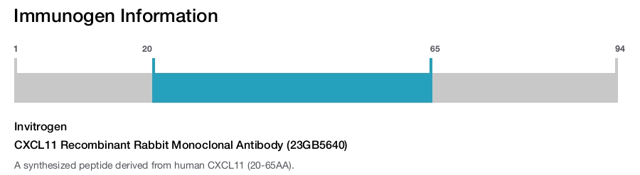 CXCL11 Recombinant Rabbit Monoclonal Antibody (23GB5640)